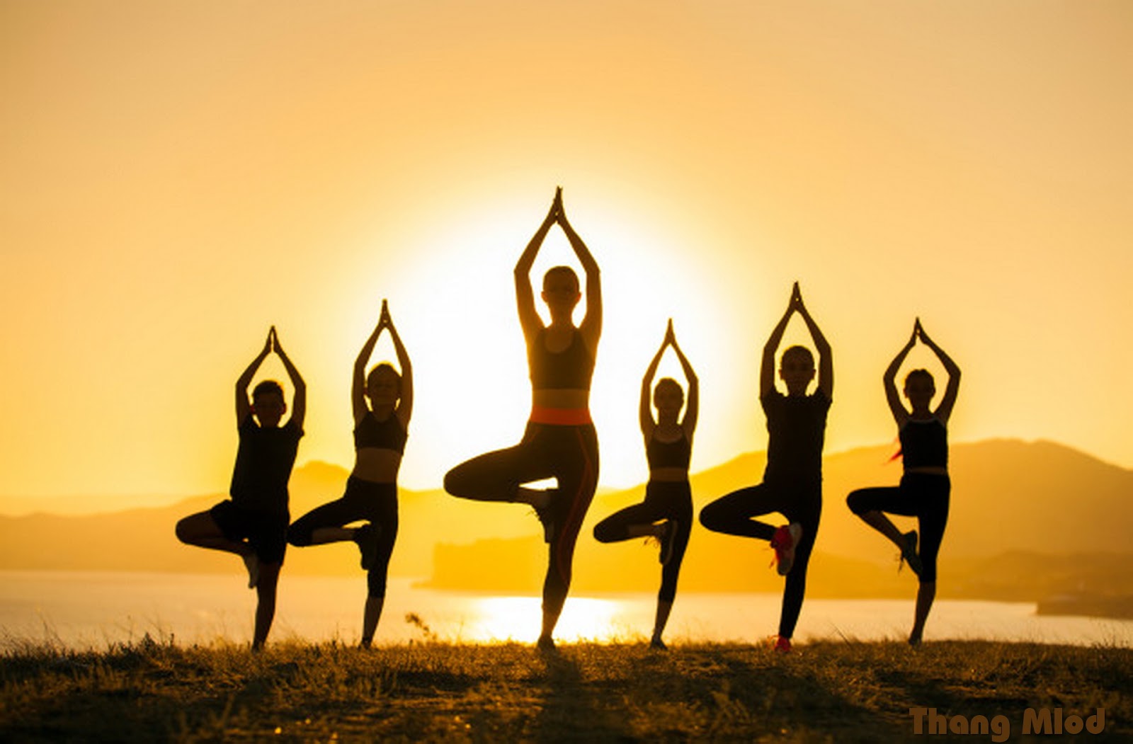 Sự so sánh và sự ganh đua trong Yoga